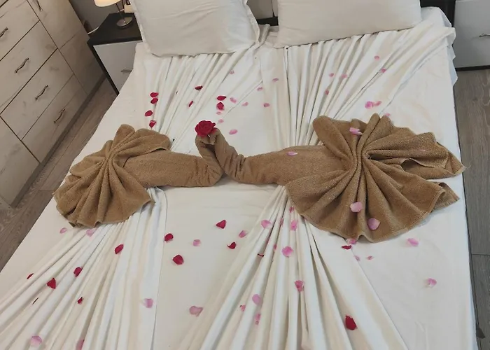 студио 4* 로제넷츠