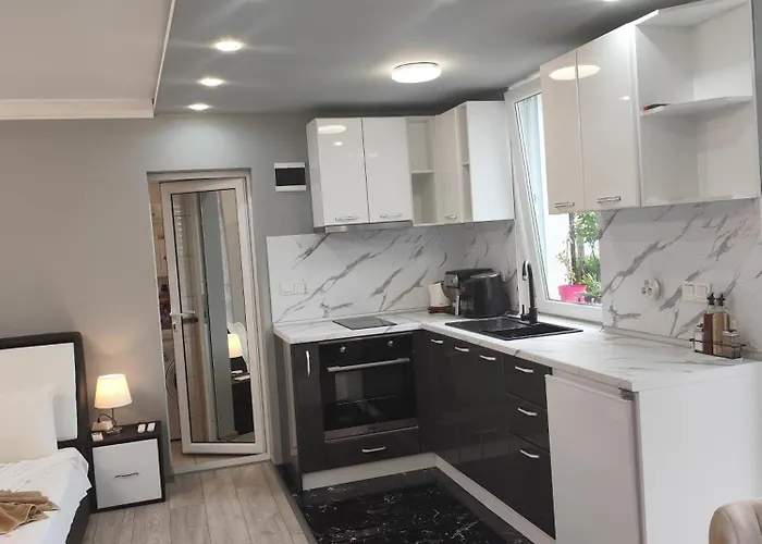 студио 로제넷츠