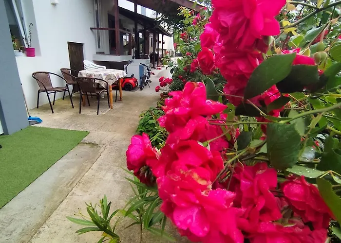 студио 게스트하우스 로제넷츠