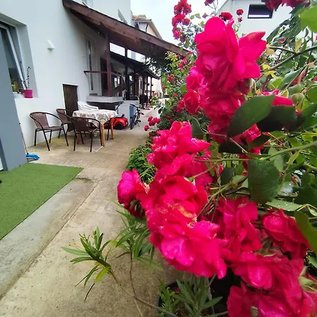 студио Gasthof Lozenets