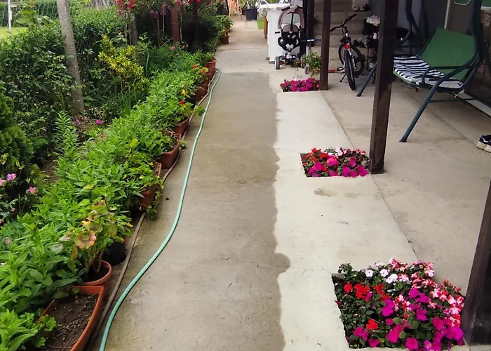 студио 게스트하우스